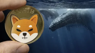 Shiba Inu Price Breaks 5%, Whales Grab Huge Supply