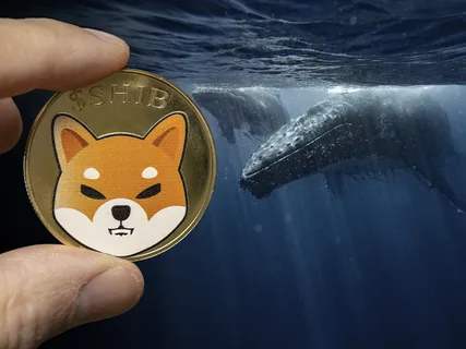 Shiba Inu Price Breaks 5%, Whales Grab Huge Supply