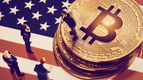 The Government Sued the Bitcoin Exchange For the Sale