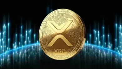 In XRP Price Recovery, Whales Move 52M Coins