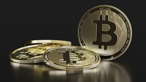 Spot Bitcoin ETFs Gain $438M