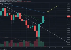 Technicals Signal Bullishness