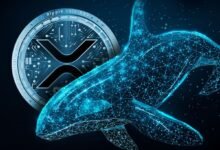 XRP Whales Hold 47M Tokens, Reversal Ahead