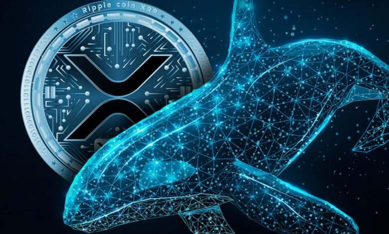 XRP Whales Hold 47M Tokens, Reversal Ahead