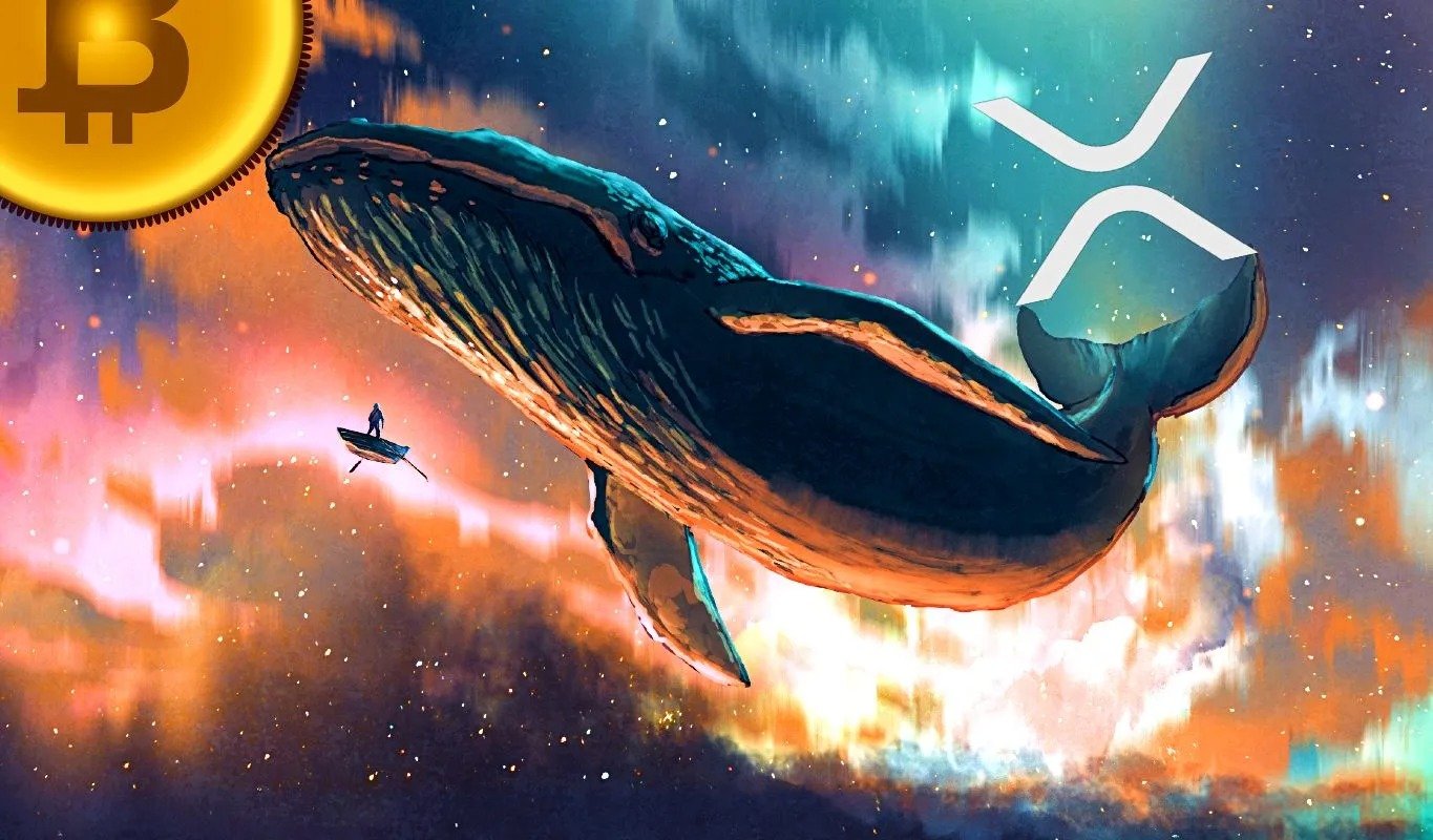 XRP Whales Market Activity and Whale Movements