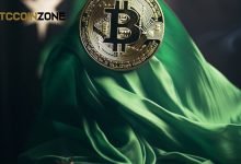 Bitcoin's Price in Pakistan