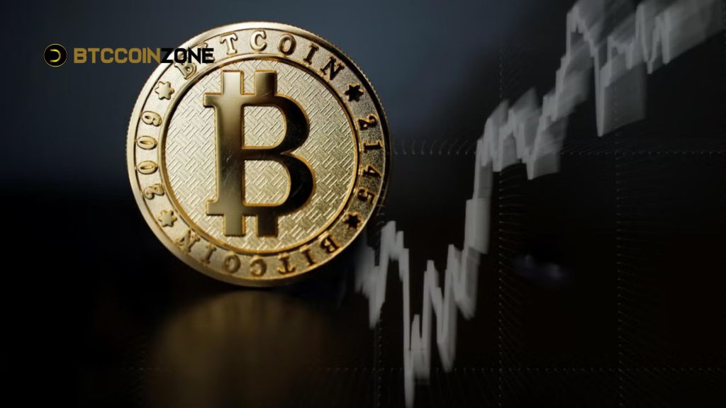 Risks and Challenges in White Bitcoin Investment