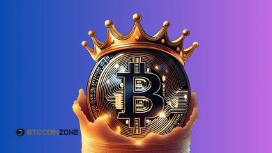 Bitcoin Casino Kings