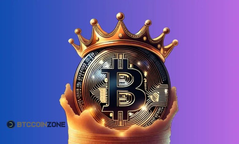 Bitcoin Casino Kings