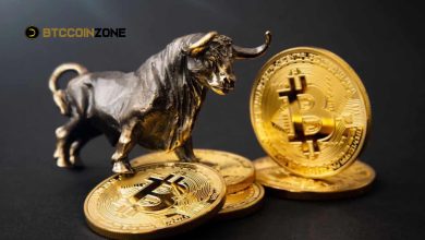 Bitcoin Bull Run News