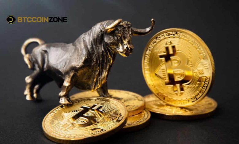 Bitcoin Bull Run News