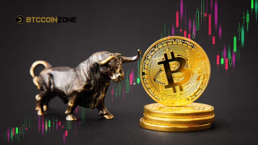 What Drives a Bitcoin Bull Run?