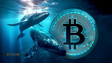 Bitcoin Whales