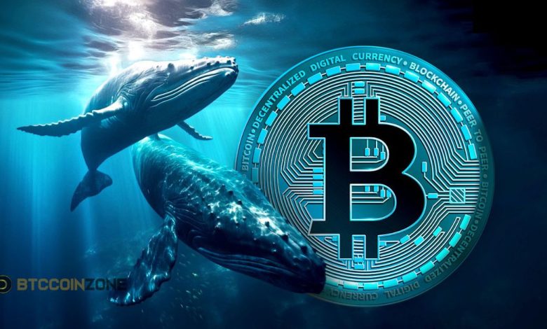 Bitcoin Whales