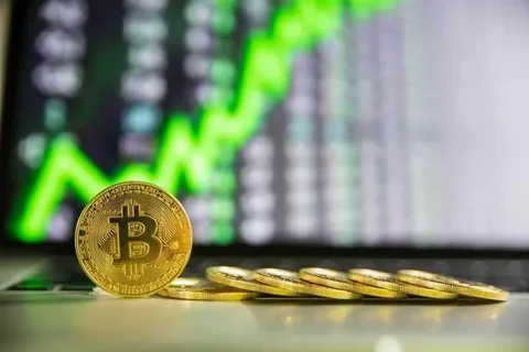 Bitcoin A Solution to Inflation and Volatility