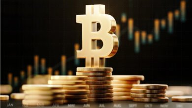 Bitcoin's Stability Amid