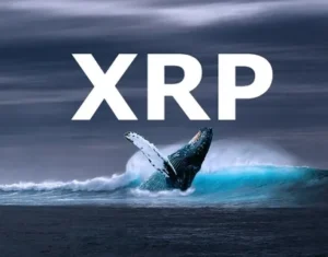 XRP Sees $41M Inflows