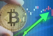 Bitcoin Price Decline Factors