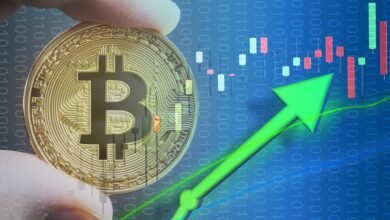 Bitcoin Price Decline Factors