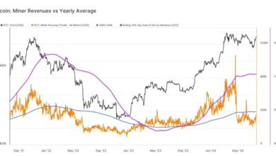 Bitcoin mining revenue stability