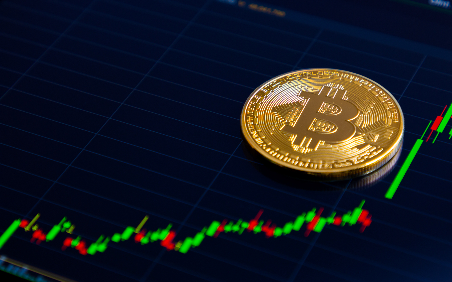 Factors Driving Bitcoin’s Price Trend