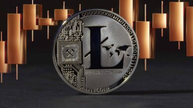 Litecoin price drop to $104