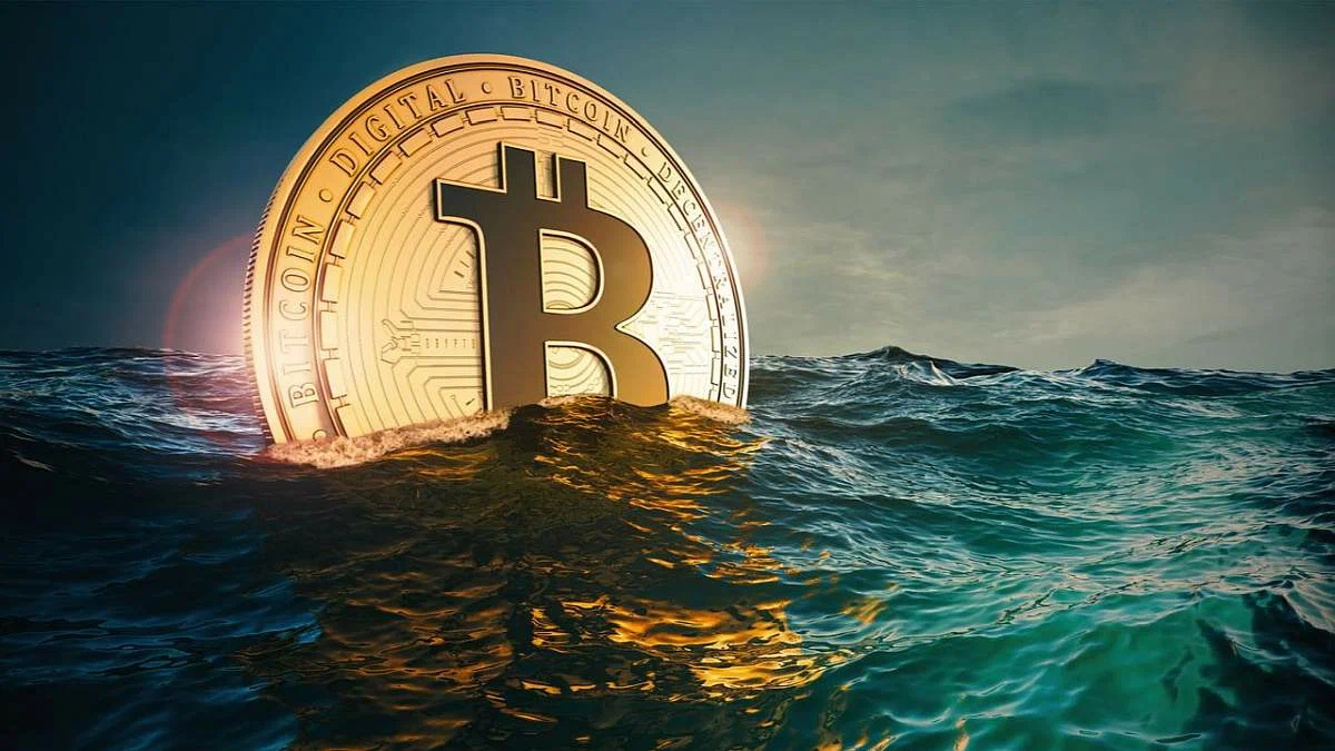 Whales Drive Bitcoin Accumulation