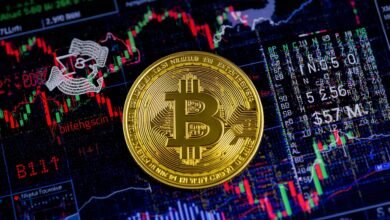 Bitcoin ETFs Outflow Major Crash
