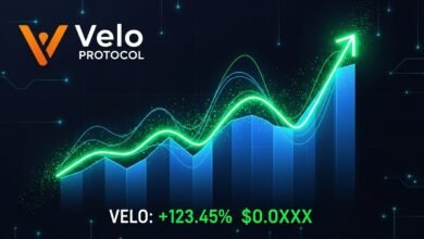 Velo Protocol Surges