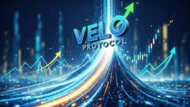 Velo Protocol’s governance