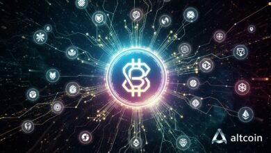 Altcoins Market Crash